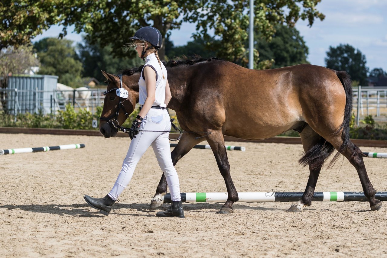 Bild 79 - Pony Akademie Turnier